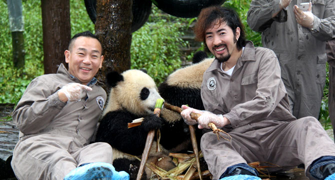 5-Day Best Panda Tour of China