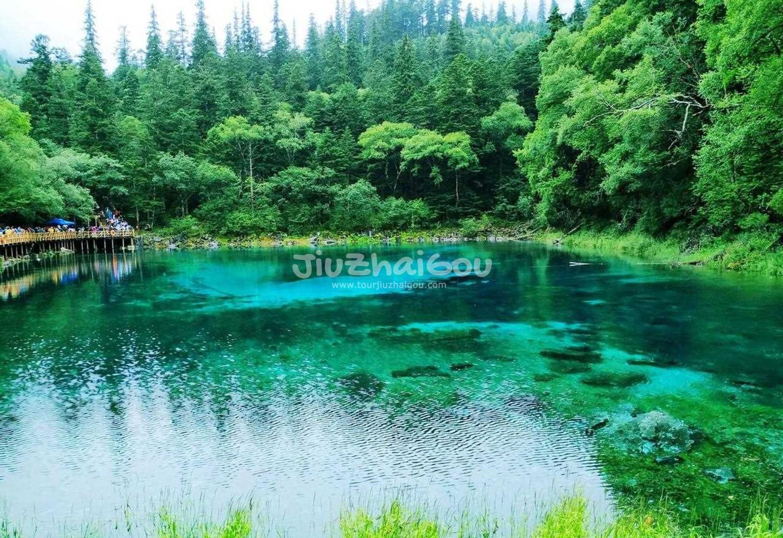 Jiuzhaigou August Tour