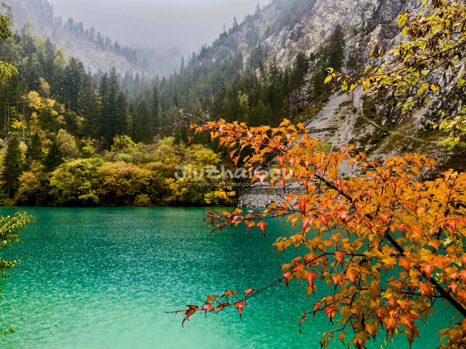 Jiuzhaigou Foliage