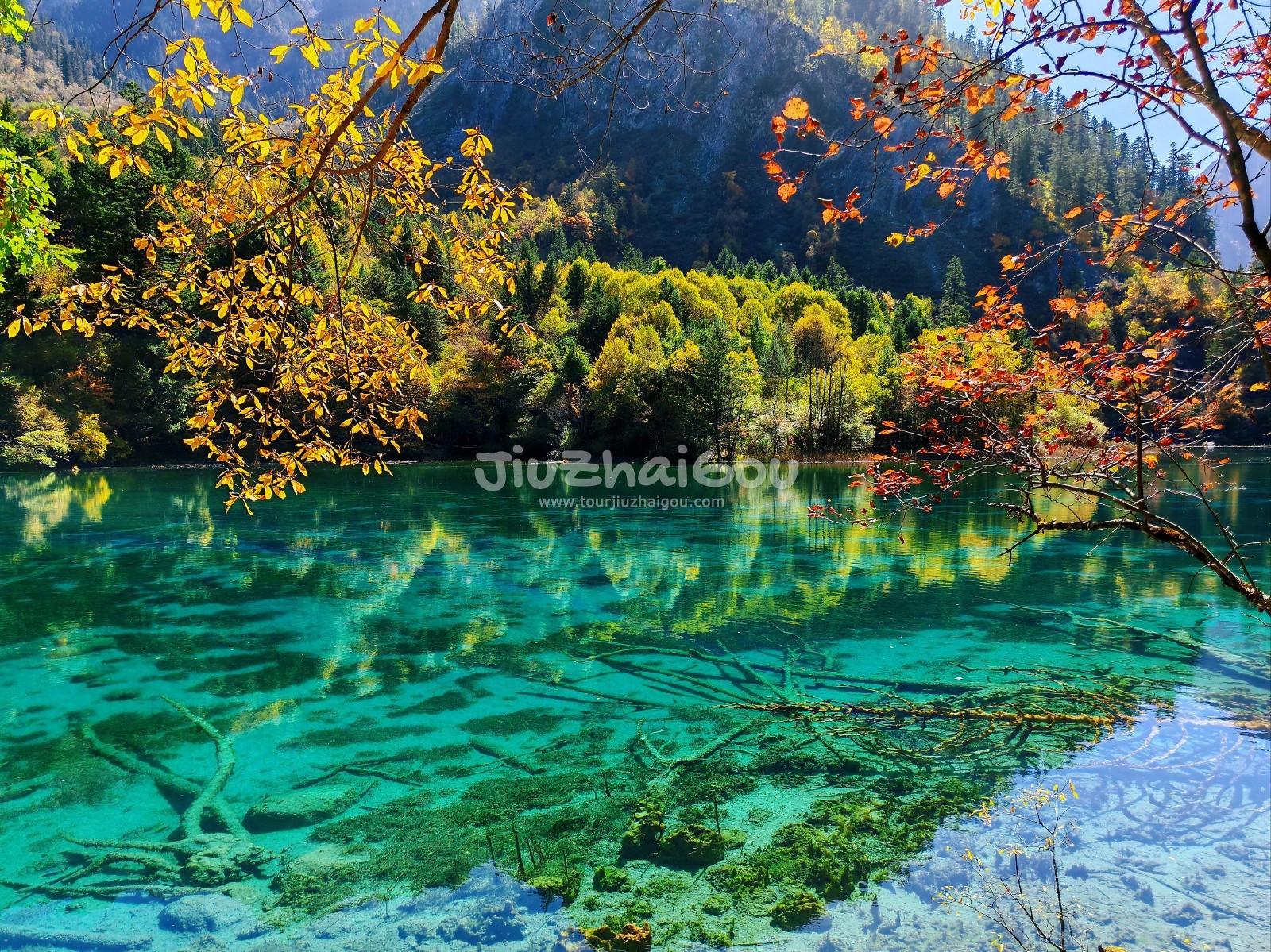 Jiuzhaigou October Trip