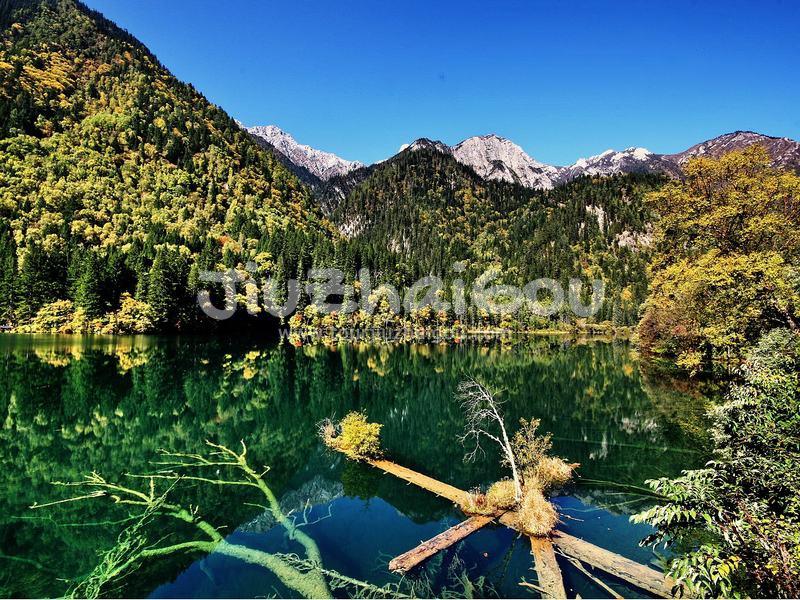 Arrow Bamboo Lake