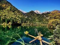 Arrow Bamboo Lake