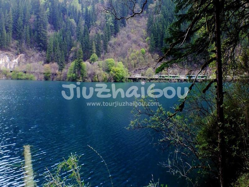 Arrow Bamboo Lake