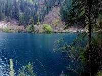 Arrow Bamboo Lake