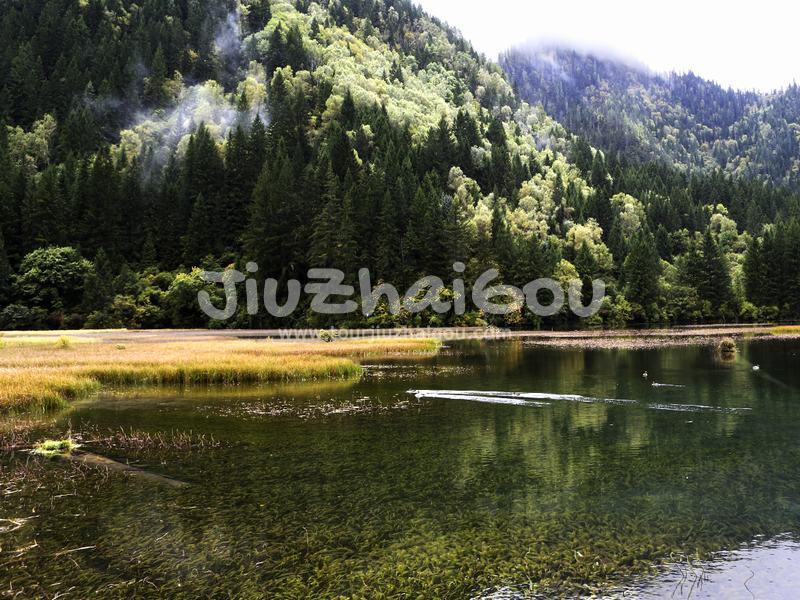 Arrow Bamboo Lake