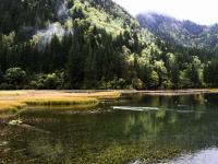 Arrow Bamboo Lake