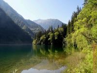 Arrow Bamboo Lake