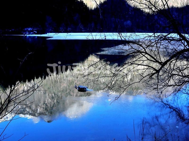 Jiuzhaigou Fargesia Lake 