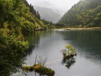 Arrow Bamboo Lake