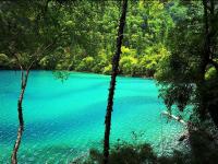 Arrow Bamboo Lake Jiuzhaigou