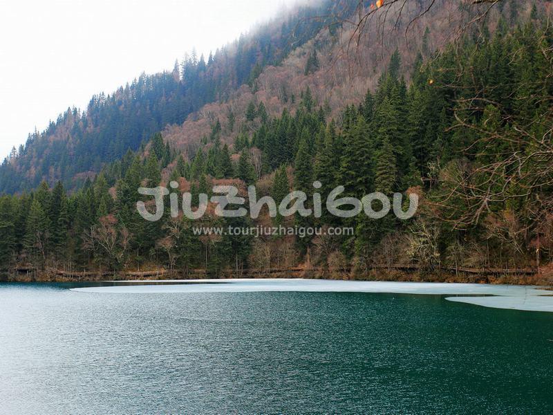 Arrow Bamboo Lake