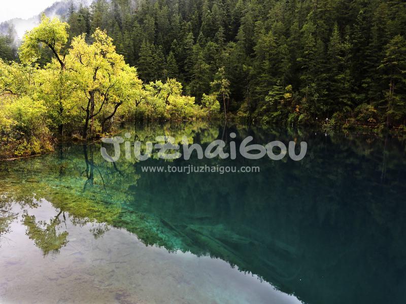 Arrow Bamboo Lake China