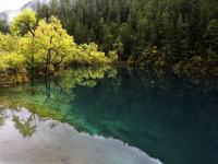 Arrow Bamboo Lake China