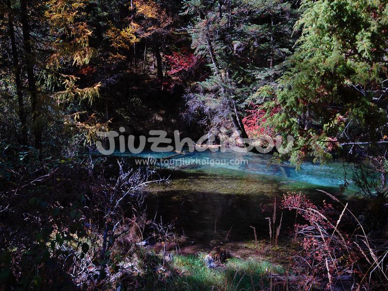 Autumn in Jiuzhaigou