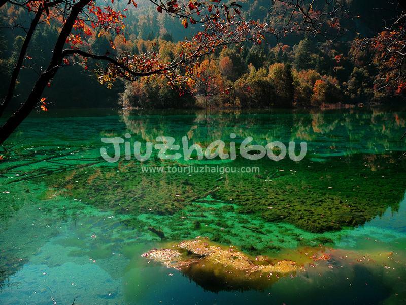 Autumn in Jiuzhaigou