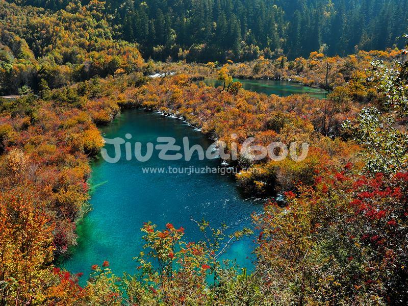 Jiuzhaigou in Autumn 