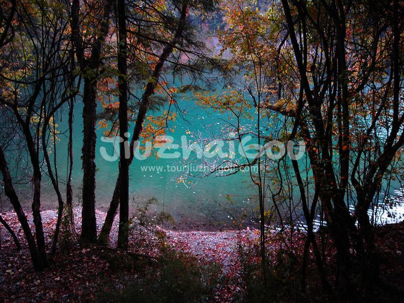 Autumn in Jiuzhaigou