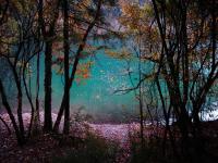 Autumn in Jiuzhaigou