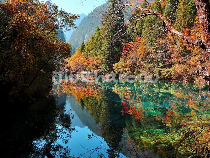 Autumn in Jiuzhaigou