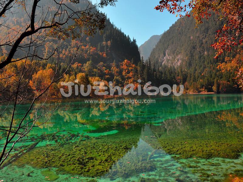 Autumn in Jiuzhaigou