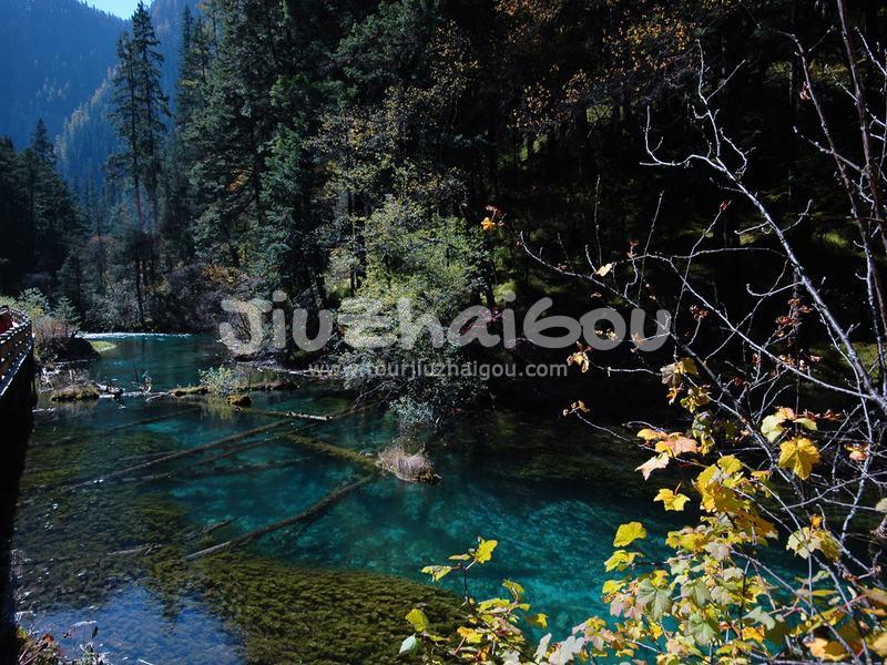 Autumn in Jiuzhaigou