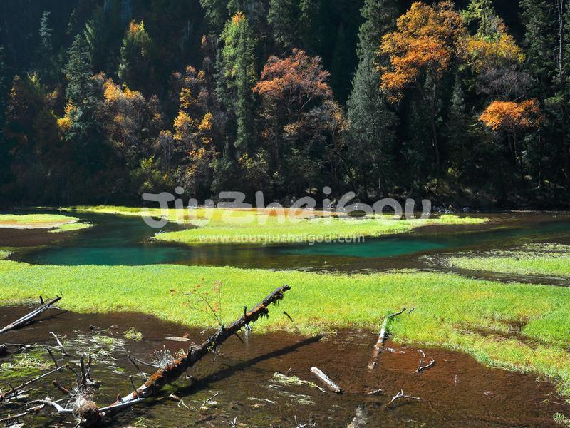 Autumn in Jiuzhaigou