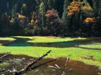 Autumn in Jiuzhaigou