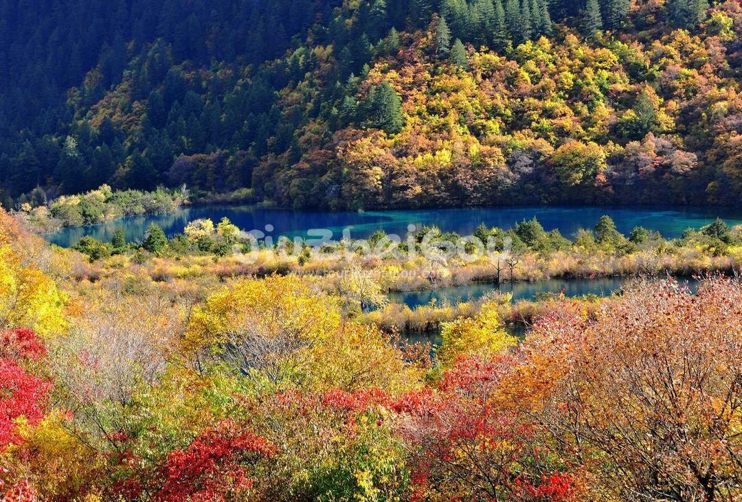 Jiuzhaigou Autumn