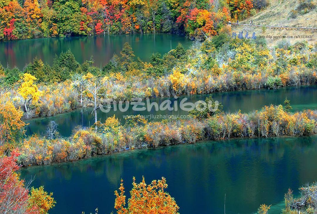 Autumn in Jiuzhaigou