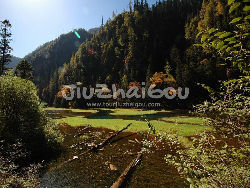 Autumn in Jiuzhaigou