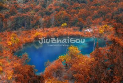 Jiuzhaigou Red Leaves