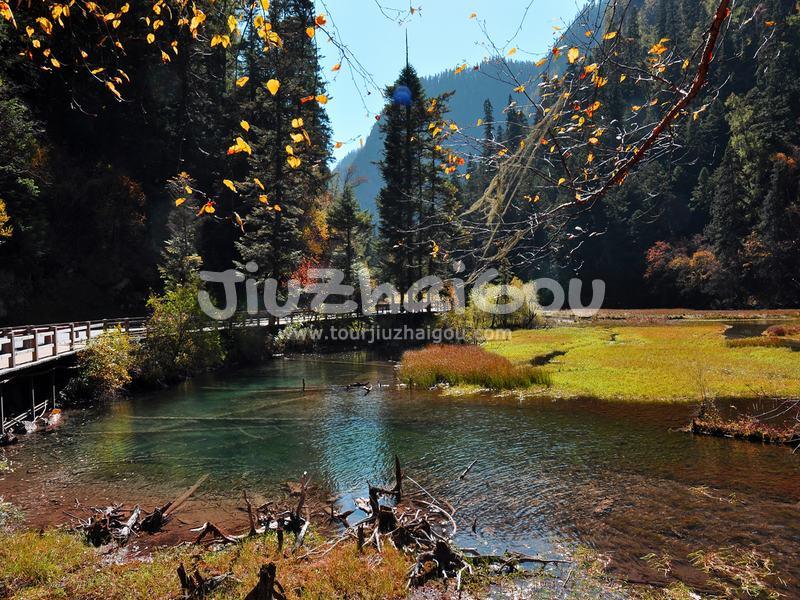 Autumn in Jiuzhaigou
