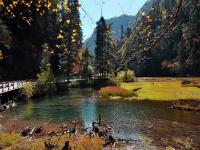 Autumn in Jiuzhaigou