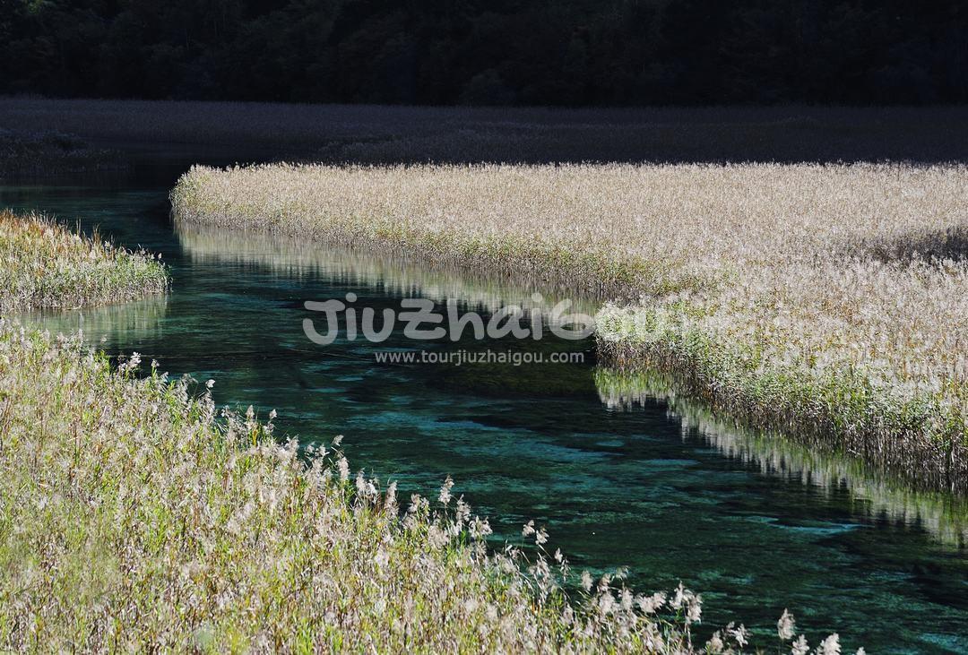 Autumn in Jiuzhaigou