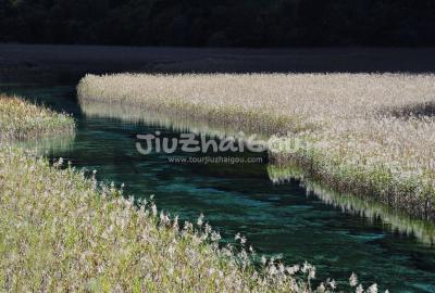 Autumn in Jiuzhaigou