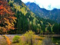 Autumn in Jiuzhaigou