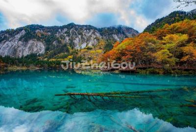 Autumn in Jiuzhaigou