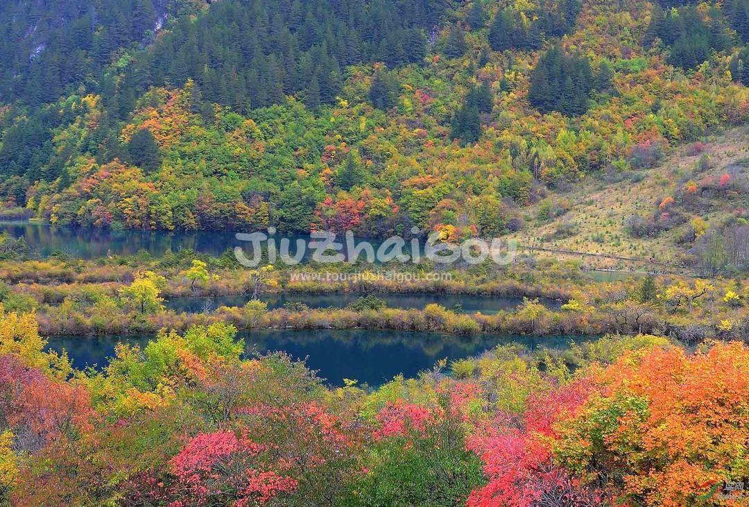 Autumn in Jiuzhaigou
