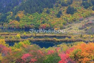 Autumn in Jiuzhaigou