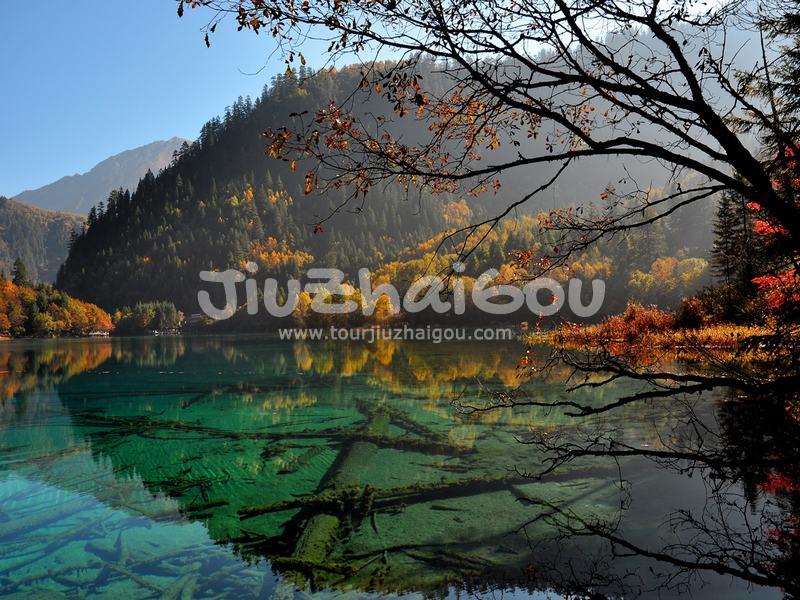 Autumn in Jiuzhaigou