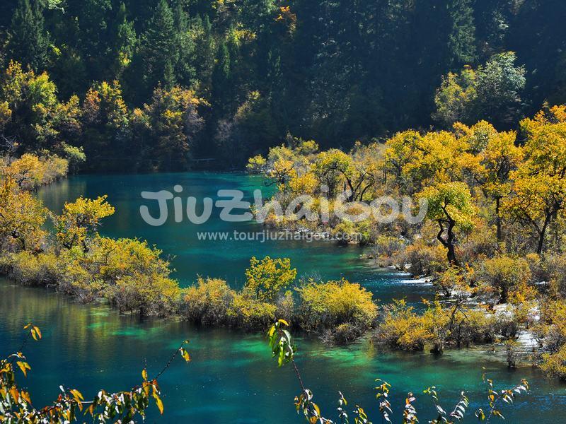 Autumn in Jiuzhaigou
