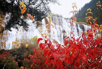 Waterfalls and Red Leaves in Jiuzhaigou