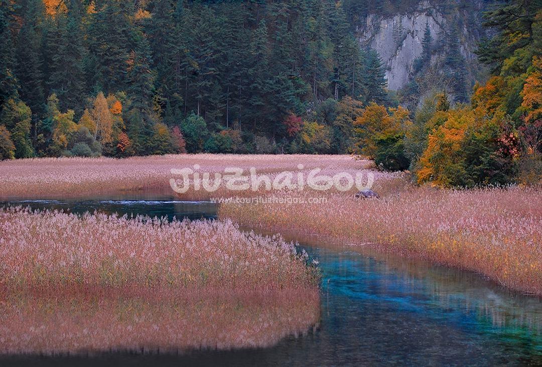 Autumn in Jiuzhaigou