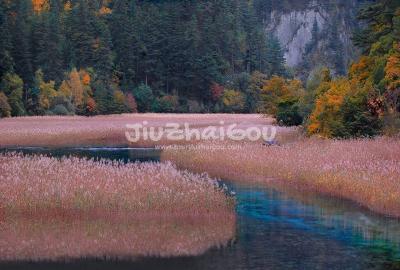 Autumn in Jiuzhaigou