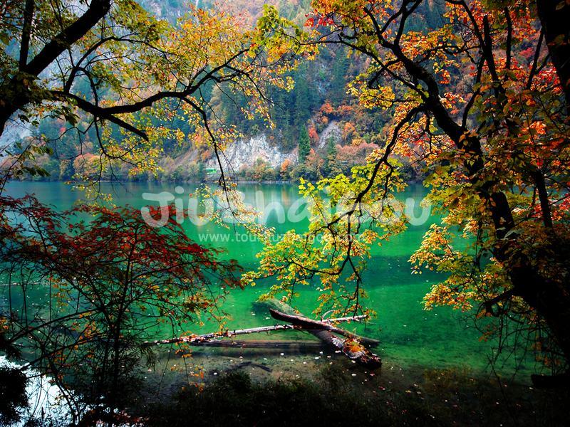 Autumn in Jiuzhaigou