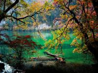 Autumn in Jiuzhaigou