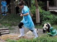 Play with Panda