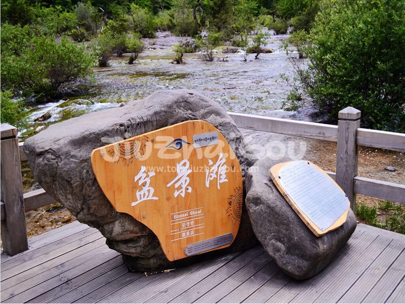 Bonsai Shoal Jiuzhaigou, China
