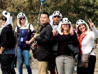 Chengdu Research Base of Giant Panda Breeding