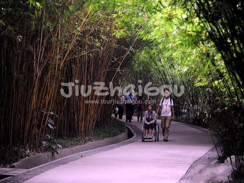 Chengdu Research Base of Giant Panda Breeding